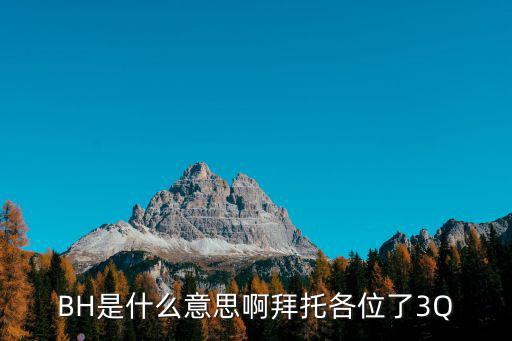 bh是什么意思,一炮而紅!bh這個詞怎么來的?