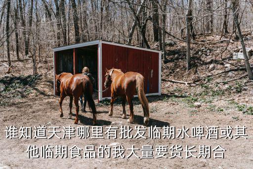 誰知道天津哪里有批發臨期水啤酒或其他臨期食品的我大量要貨長期合