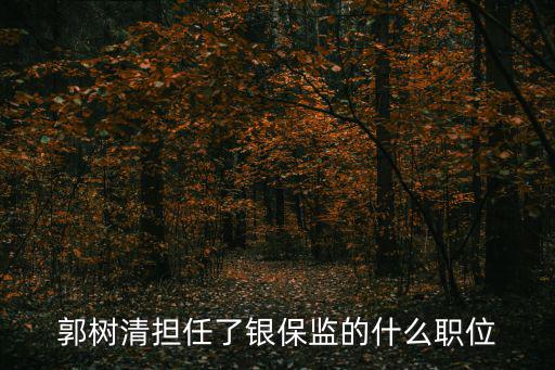 郭樹清擔任了銀保監的什么職位