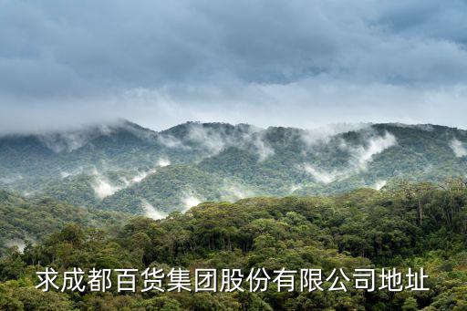 求成都百貨集團股份有限公司地址