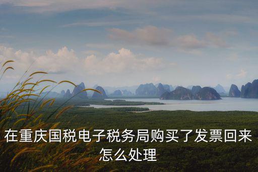 在重慶國(guó)稅電子稅務(wù)局購(gòu)買了發(fā)票回來(lái)怎么處理