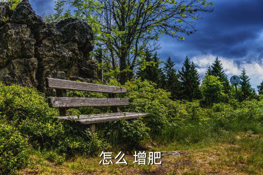 怎么 增肥