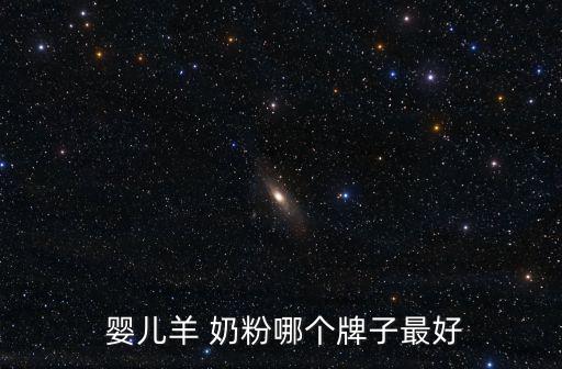  嬰兒羊 奶粉哪個牌子最好