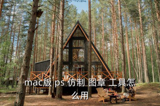 mac版 ps 仿制 圖章 工具怎么用
