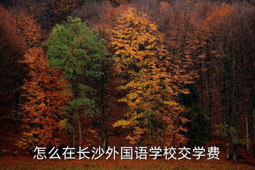 長沙外國語學校一年學費，長沙市外國語學校好嗎  高中 學校大不大 學費多少 好玩嗎