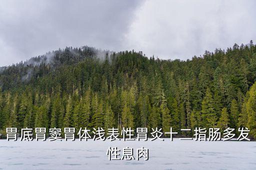 胃底胃竇胃體淺表性胃炎十二指腸多發性息肉