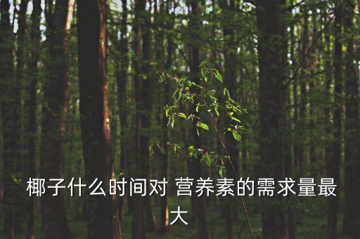  椰子什么時(shí)間對 營養(yǎng)素的需求量最大