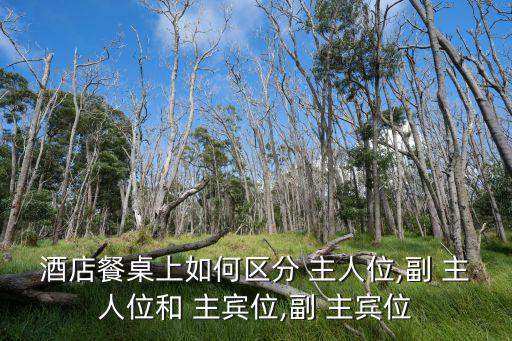 主人主賓位置圖,首批新人包括四名新傳媒創辦人和兩名藝術家