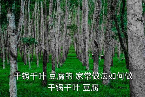  干鍋千葉 豆腐的 家常做法如何做 干鍋千葉 豆腐