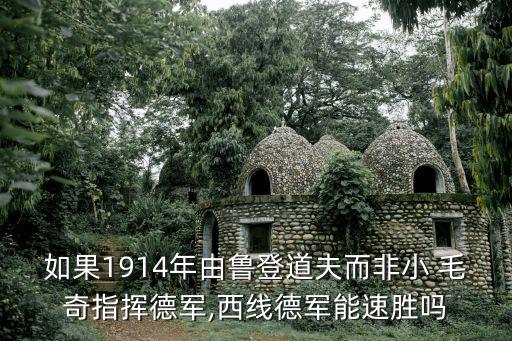 小毛奇,馬恩河戰役宣告德軍的破產毛奇犯了一個錯誤