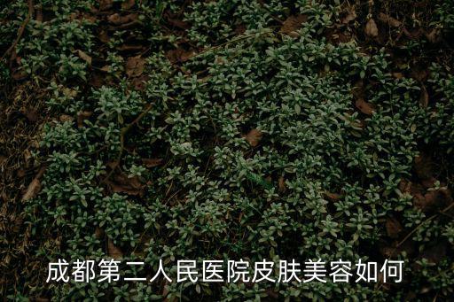 成都第二人民醫院皮膚美容如何
