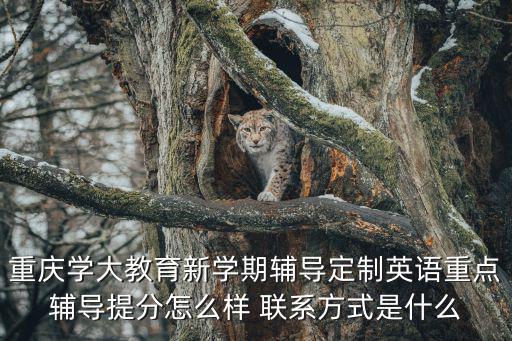 重慶學大教育新學期輔導定制英語重點輔導提分怎么樣 聯系方式是什么