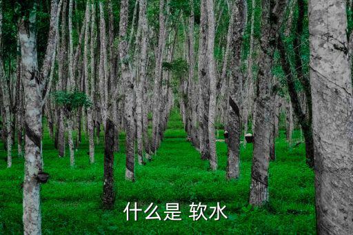 軟水是什么水,肥皂切碎放入熱水中溶解后即為軟水