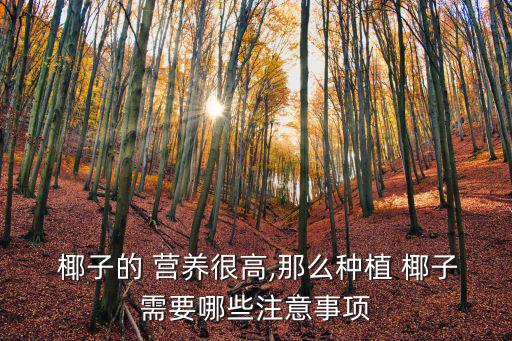  椰子的 營養(yǎng)很高,那么種植 椰子需要哪些注意事項(xiàng)