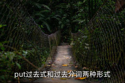put過去式和過去分詞兩種形式