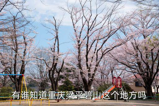 有誰知道重慶梁平碧山這個地方嗎