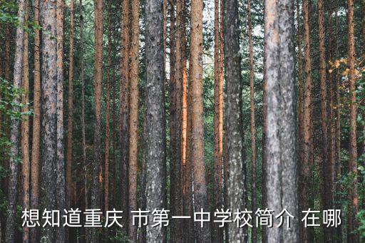 想知道重慶 市第一中學(xué)校簡介 在哪