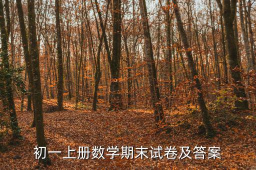 初一上冊(cè)數(shù)學(xué)試卷，初一 上學(xué)期 數(shù)學(xué)題