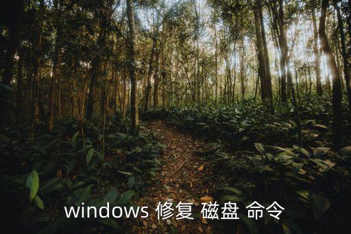 磁盤修復(fù)命令,系統(tǒng)出現(xiàn)病毒或丟失數(shù)據(jù)如何正確使用?