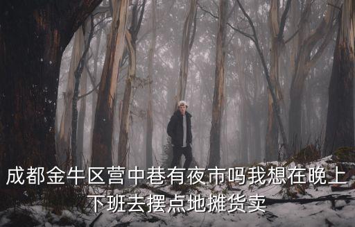 成都金牛區營中巷有夜市嗎我想在晚上下班去擺點地攤貨賣