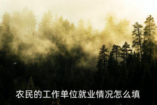 農民的工作單位就業情況怎么填