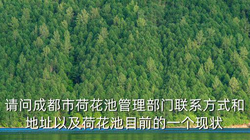 請(qǐng)問(wèn)成都市荷花池管理部門聯(lián)系方式和地址以及荷花池目前的一個(gè)現(xiàn)狀