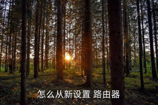 怎么從新設(shè)置 路由器