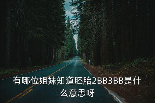 有哪位姐妹知道胚胎2BB3BB是什么意思呀