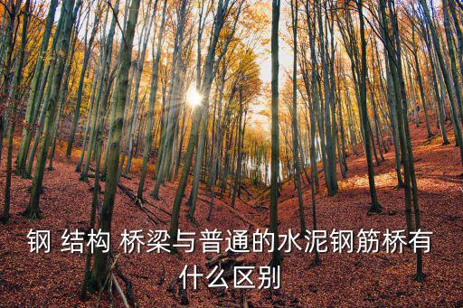 鋼結(jié)構(gòu)橋梁,鋼結(jié)構(gòu)比混凝土結(jié)構(gòu)更簡(jiǎn)單快捷施工材料更透明