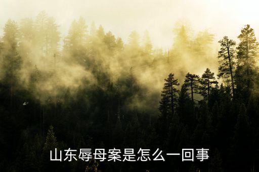 聊城于歡案,于歡防衛(wèi)過當(dāng)被判入獄五年