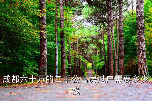 成都六十萬的二手公寓房過戶需要多少錢