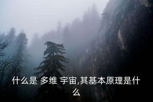 多維宇宙,愛因斯坦提出多維宇宙概念