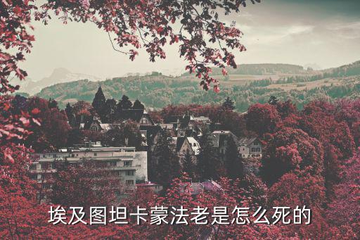 圖坦卡蒙法老，圖坦卡蒙幾歲成為法老 又是幾歲死的