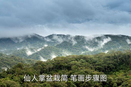 仙人掌盆栽簡 筆畫步驟圖