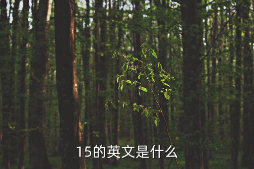 15的英文是什么