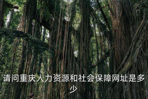 請問重慶人力資源和社會(huì)保障網(wǎng)址是多少