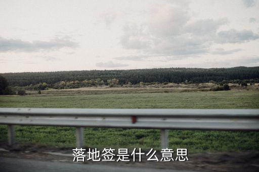 落地簽證,落地簽證:不是所有國家都有簽證