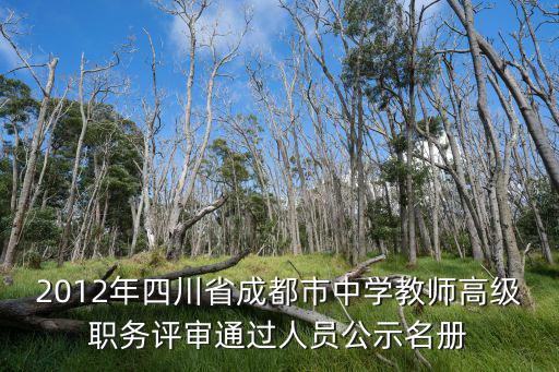 2012年四川省成都市中學教師高級職務評審通過人員公示名冊
