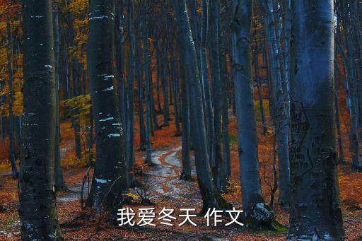 我愛冬天 作文
