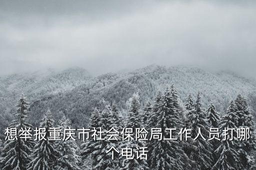 想舉報重慶市社會保險局工作人員打哪個電話