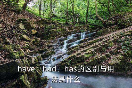 have、had、has的區(qū)別與用法是什么