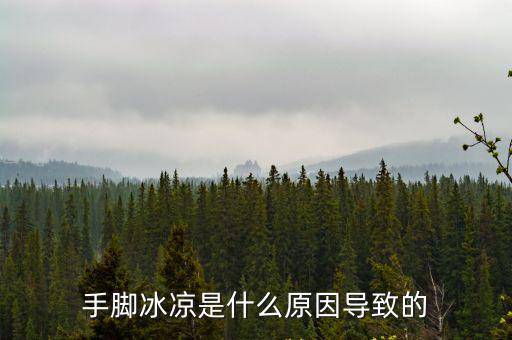 腳冰涼是什么原因，手腳冰涼是什么原因導致的