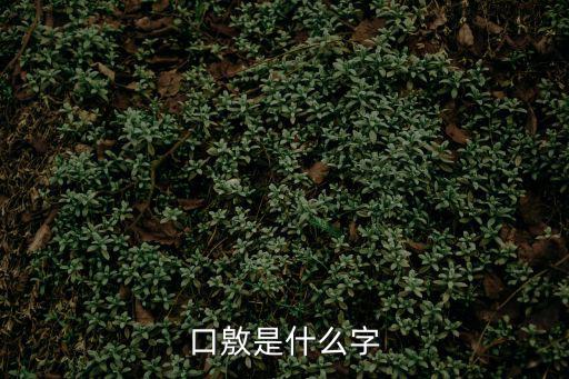 口敫是什么字