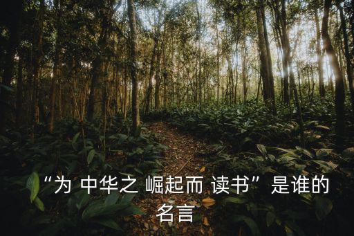 為中華崛起而讀書(shū),for中華崛起and讀書(shū)是青年勵(lì)志故事