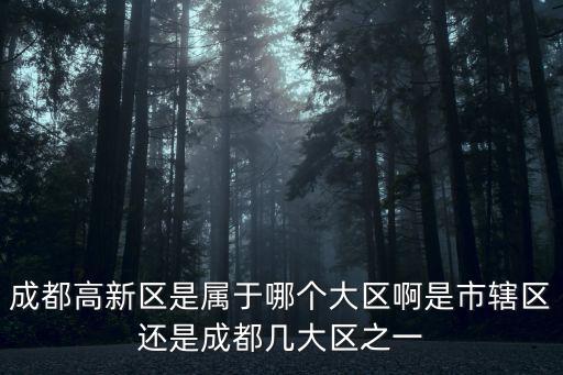 成都高新區是屬于哪個大區啊是市轄區還是成都幾大區之一