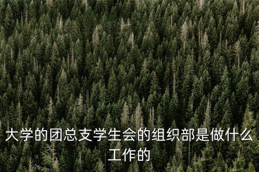 大學(xué)的團(tuán)總支學(xué)生會(huì)的組織部是做什么工作的