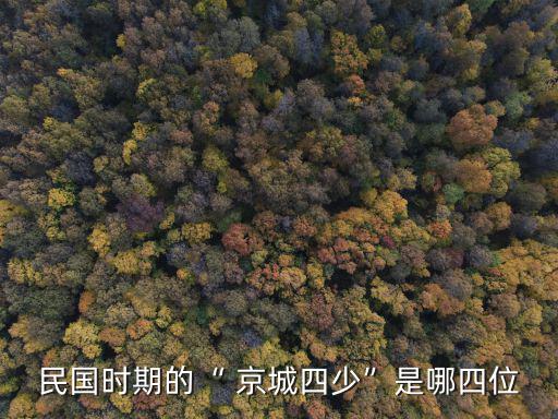 民國時期的“ 京城四少”是哪四位