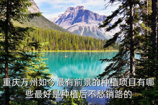 重慶市萬(wàn)州區(qū)道和蔬菜種植場(chǎng)，重慶萬(wàn)州如今最有前景的種植項(xiàng)目有哪些最好是種植后不愁銷路的