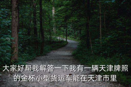 大家好幫我解答一下我有一輛天津牌照的金杯小型貨運車能在天津市里