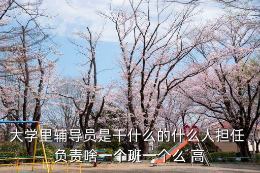 大學里輔導員是干什么的什么人擔任 負責啥一個班一個么 高